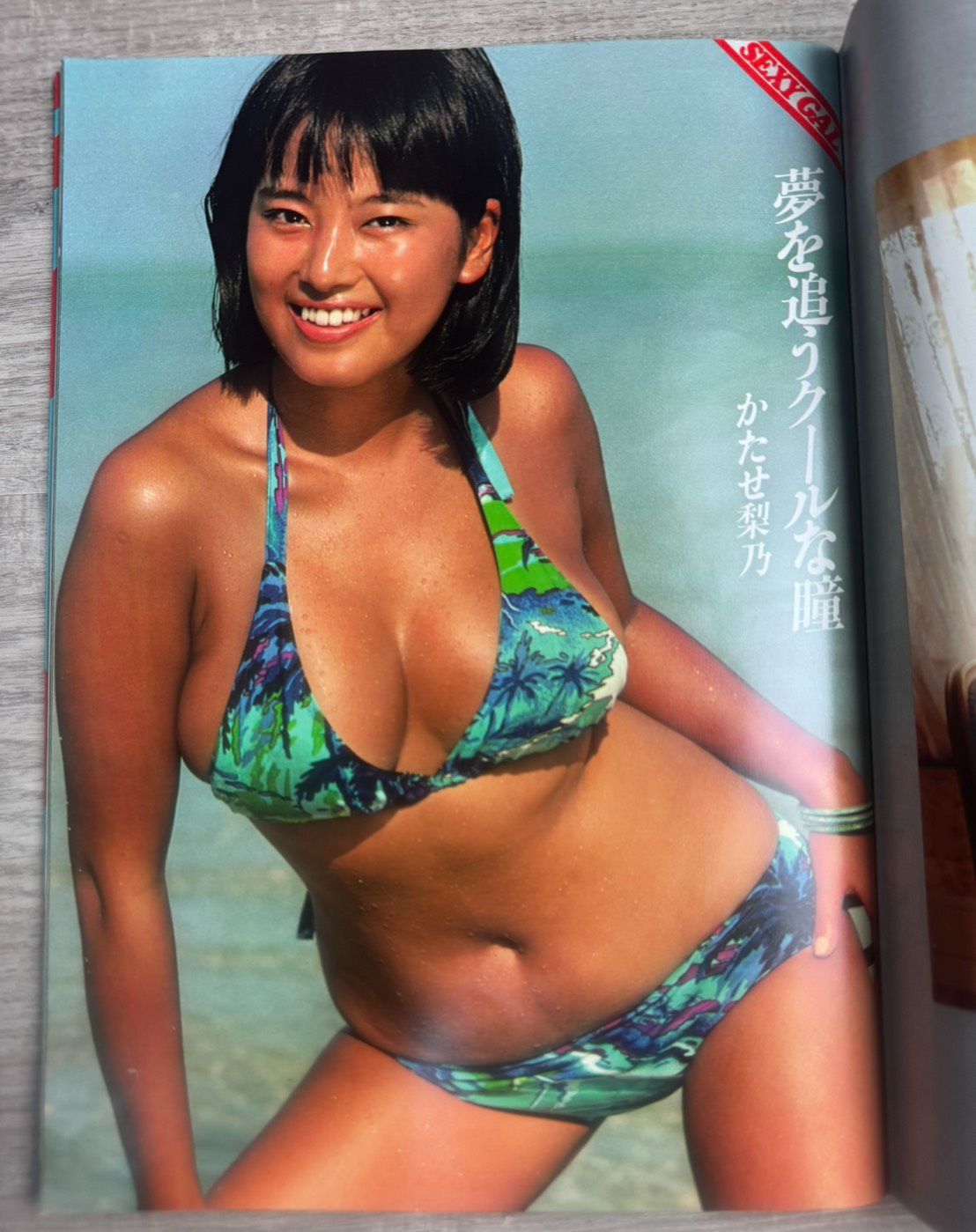 GIRL!GIRL!GIRL! 創刊10周年記念 週刊プレイボーイ 特別編集 アグネス