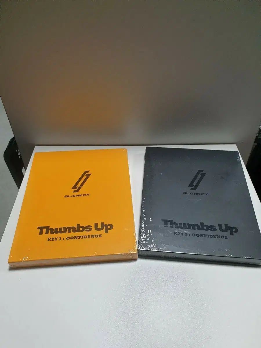 宮城須美子作 シーサー 沖縄の陶器（やちむん）