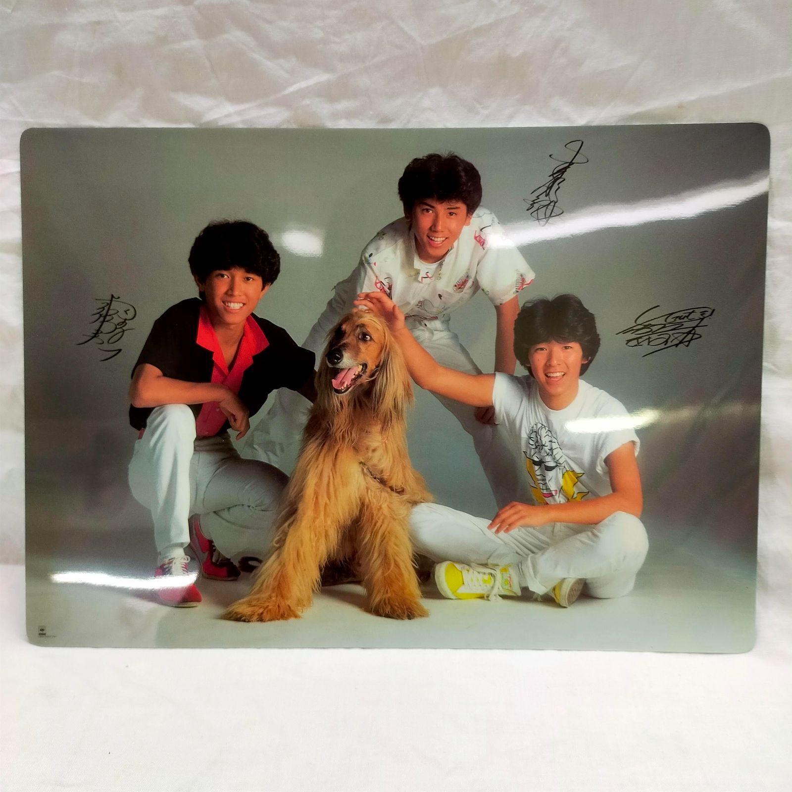 貴重エラー写真レコード❤シブがき隊 新品 音源はAB収録 盤が両方A画仕様 楽天市場】シブがき隊（レコード｜CD・DVD）の通販