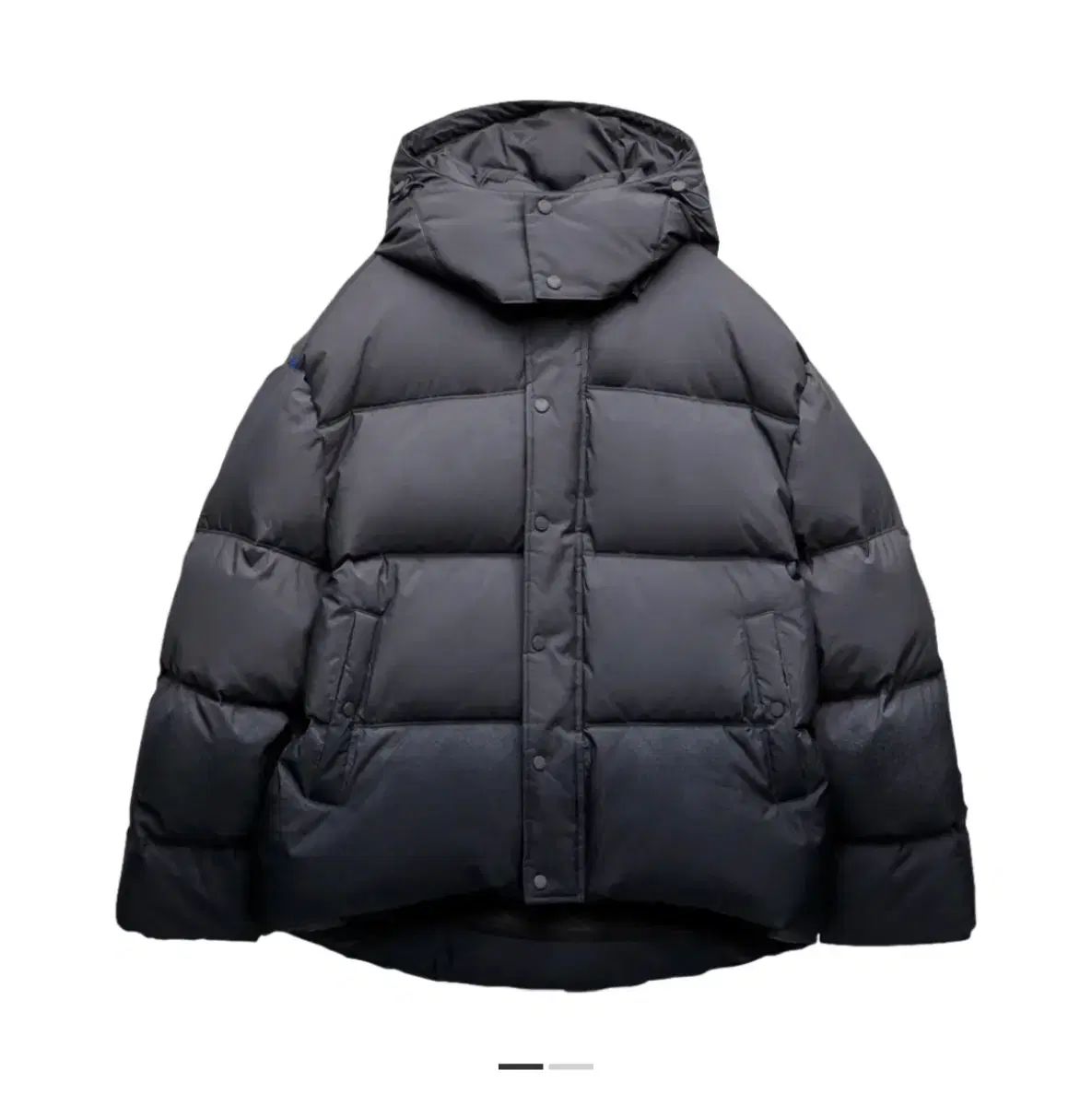 ADER ERROR アーダーエラー × ZARA ザラ ダウン s - メルカリ