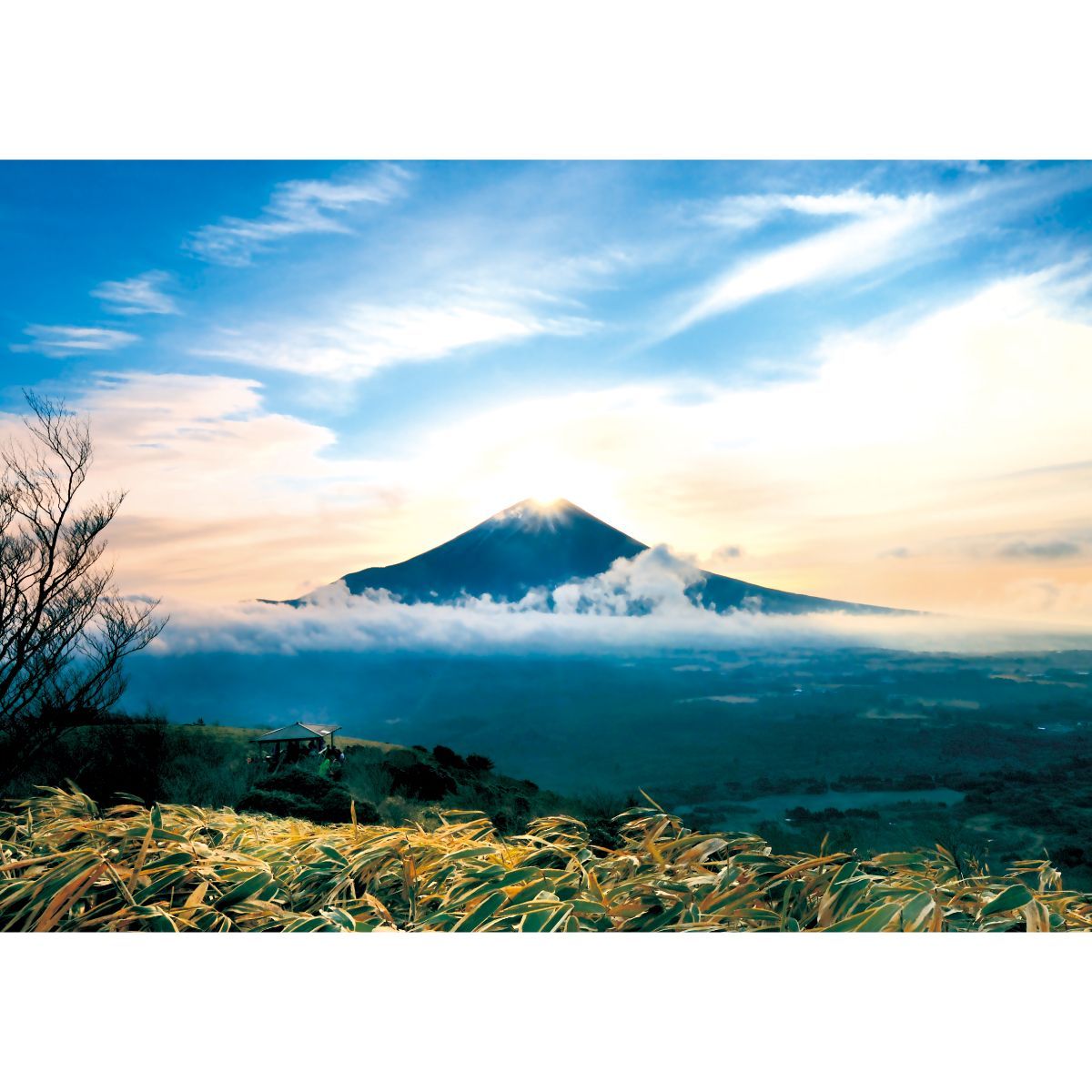  ダイヤモンド富士 B お風呂ポスター 防水ポスター バスグッズ バス 洗面所用品