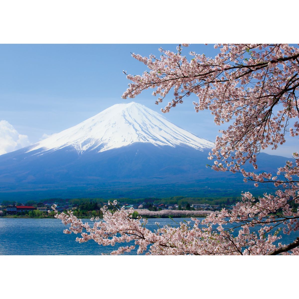 お風呂ポスター 防水ポスター