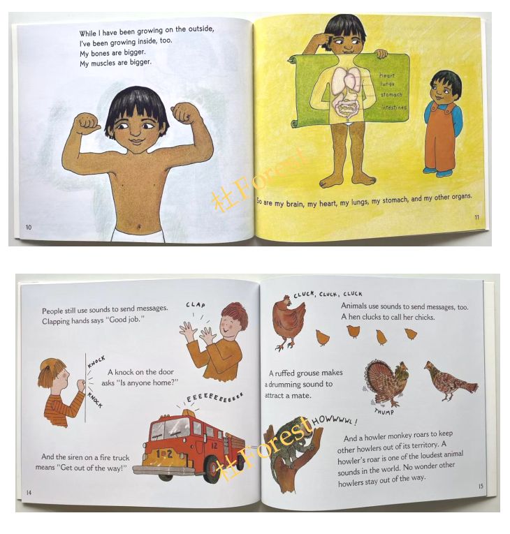 新品Let's read and find out science 44冊 新品 Let's Read and Find Out Science 44冊 - メルカリ