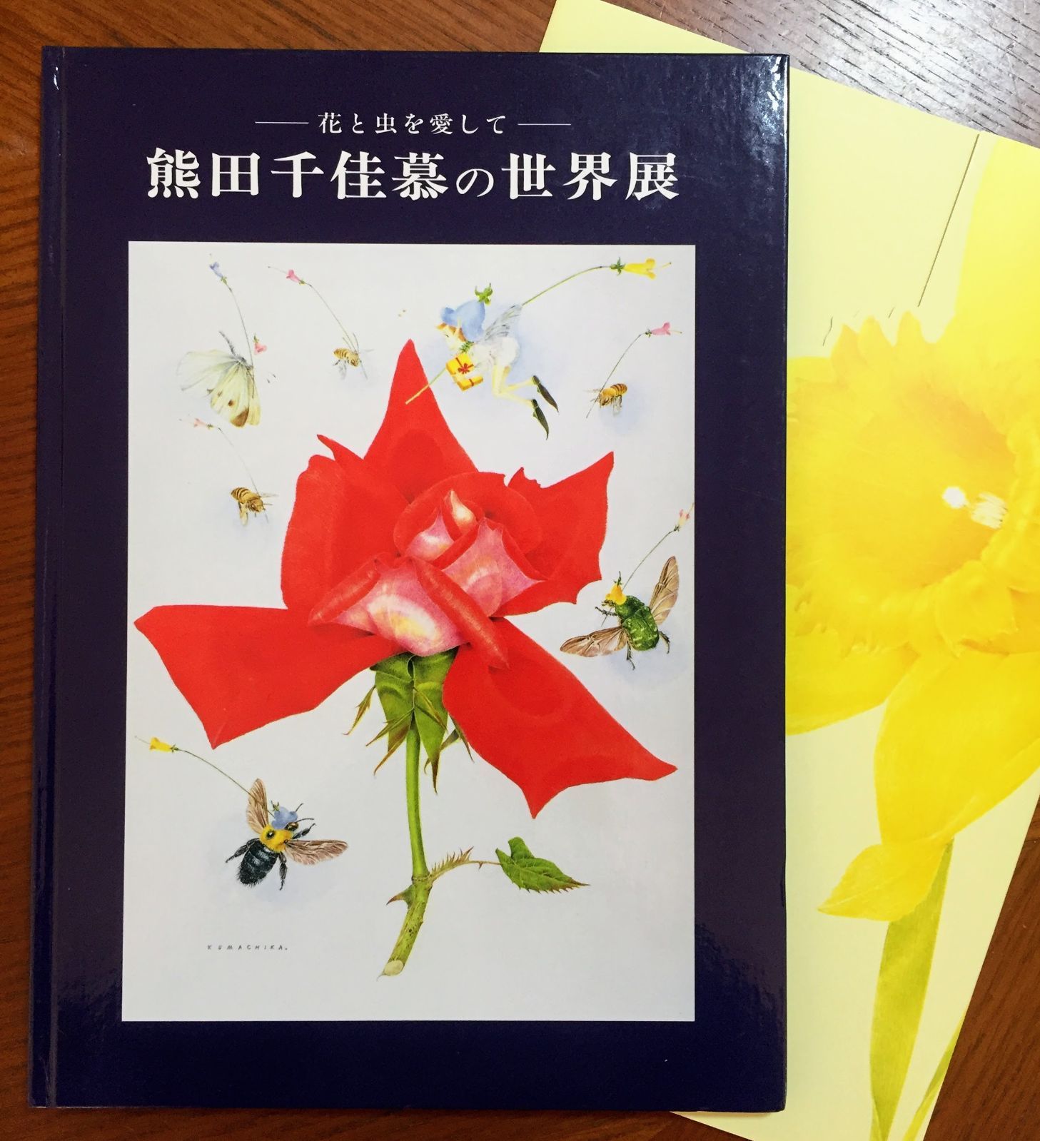 花と虫を愛して－ 熊田千佳慕の世界展」―図録 - メルカリ