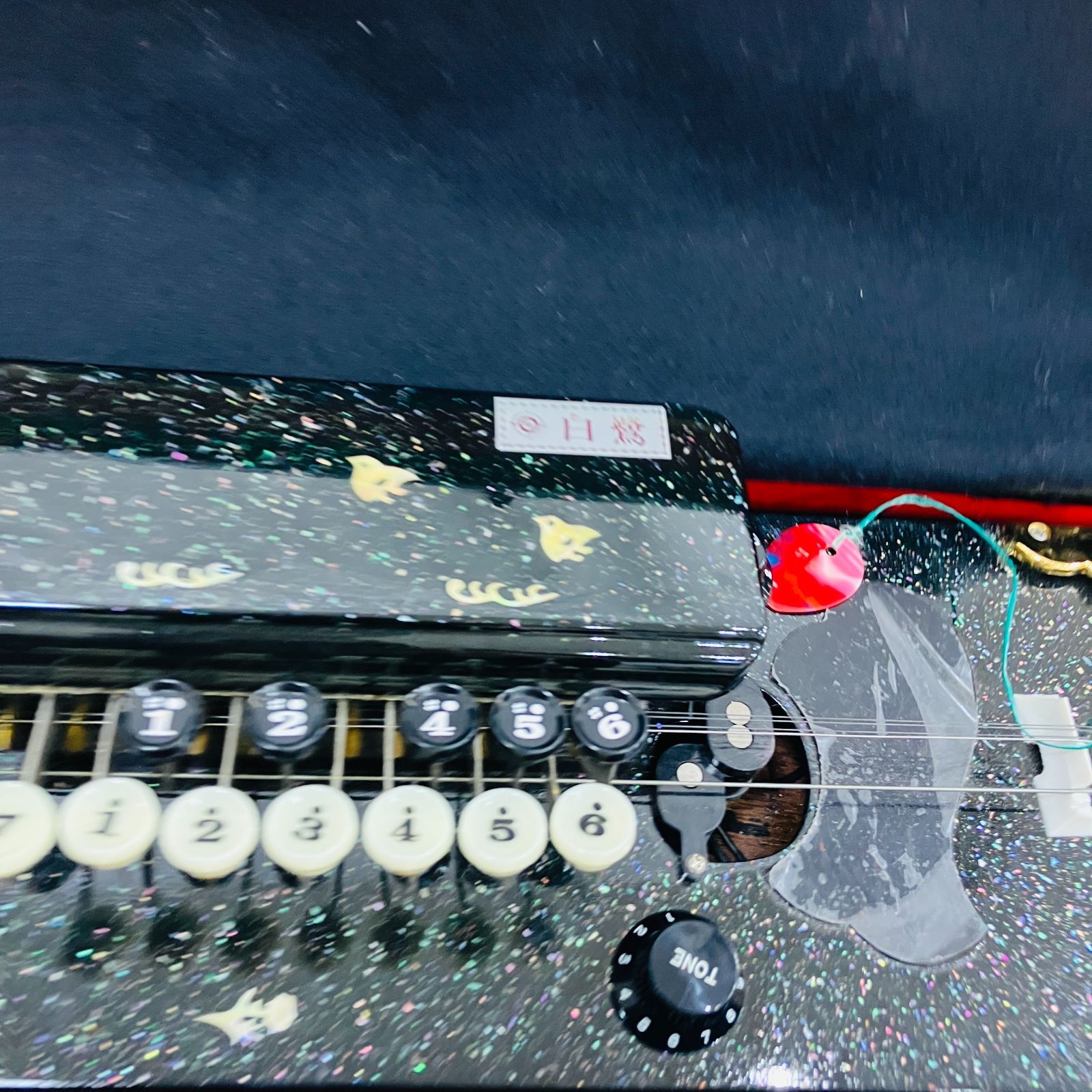 大正琴　琴伝流　白鷺　ケース付き A【保管品】大正琴 琴伝流 白鷺 ケース付き ピック付き - メルカリ