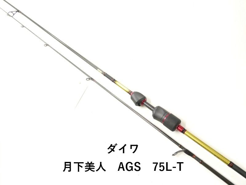 ダイワ 月下美人 AGS 75 L-T 02-