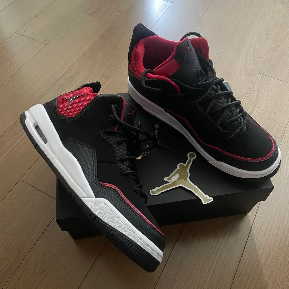 ジュニア ジョーダン NIKE スニーカー 250