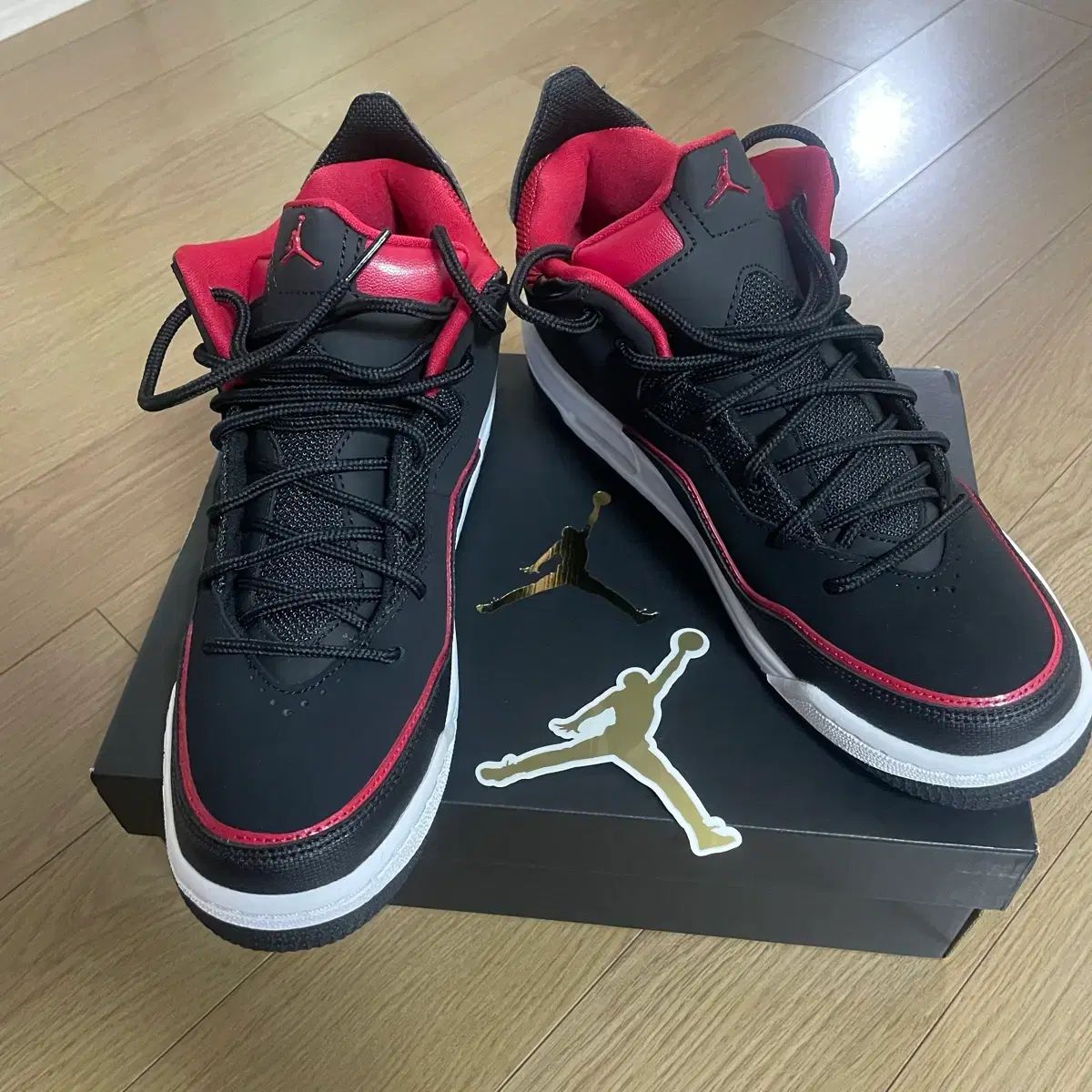 ジュニア ジョーダン NIKE スニーカー 250