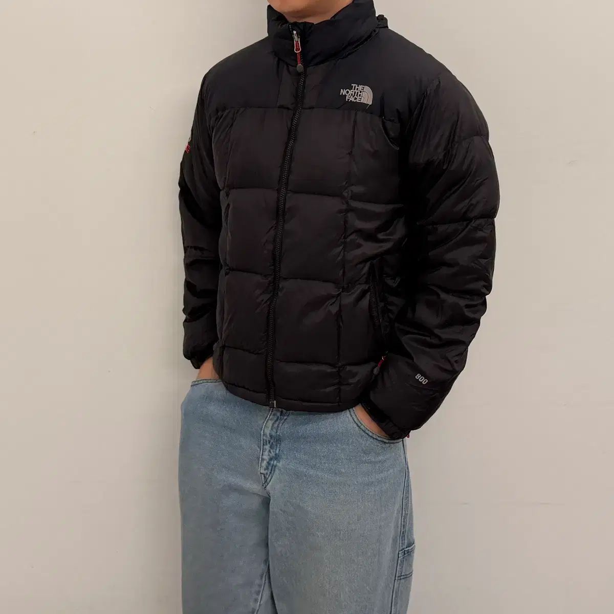 100 XXL THE NORTH FACE ザノースフェイス レディース サミット ハ 
