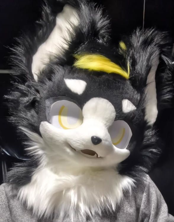 着ぐるみヘッド 犬 NO 459 黒 ブラック 全頭ヘッド ケモノ ファースーツ ぬいぐるみ コスプレ コスチューム kigurumi