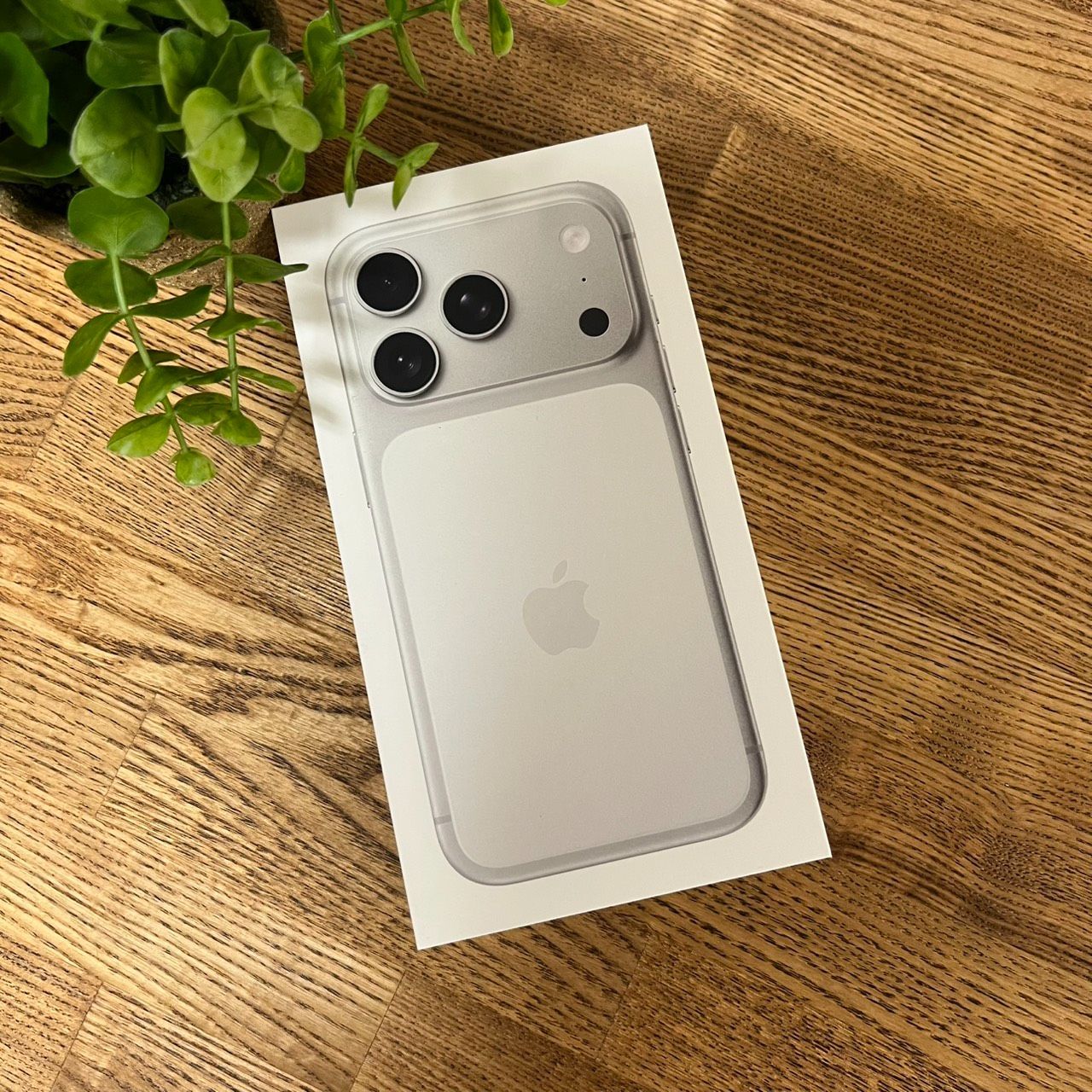 新品・未開封 iPhone 17 Pro 1TB シルバー Apple SIMフリー 送料無料