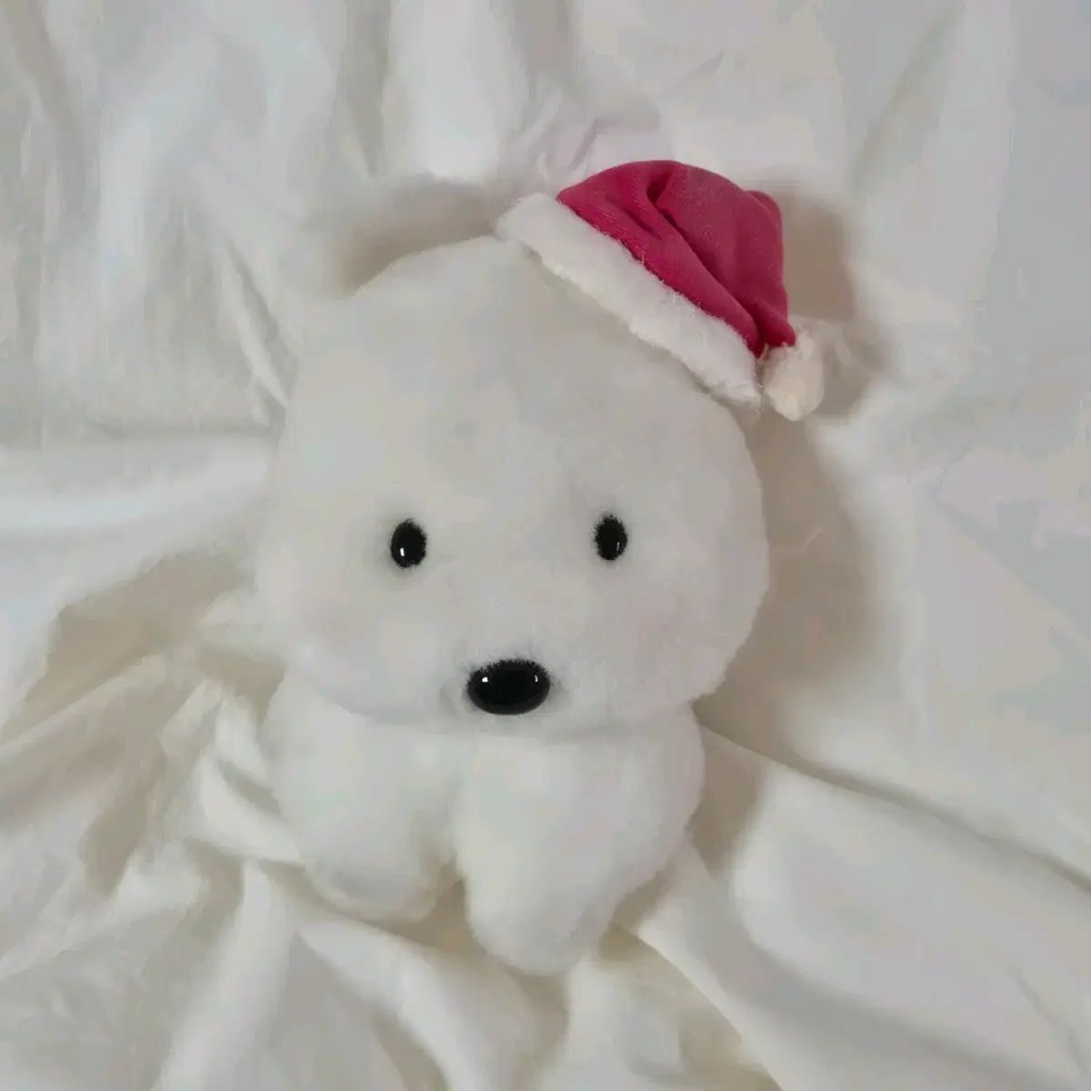 Soundies Festival Mr. Adams Bomb Bubbling Over Open Door Richard