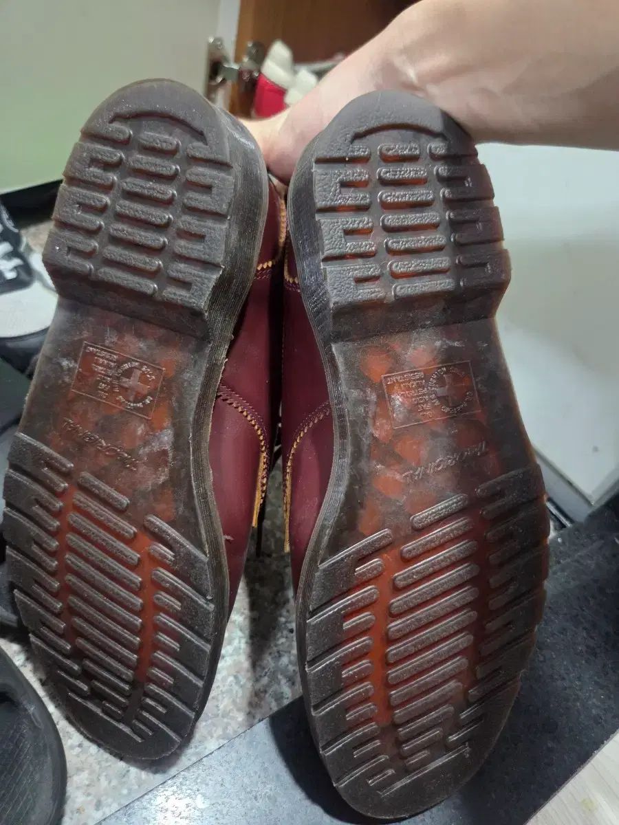 バーガンディ 42