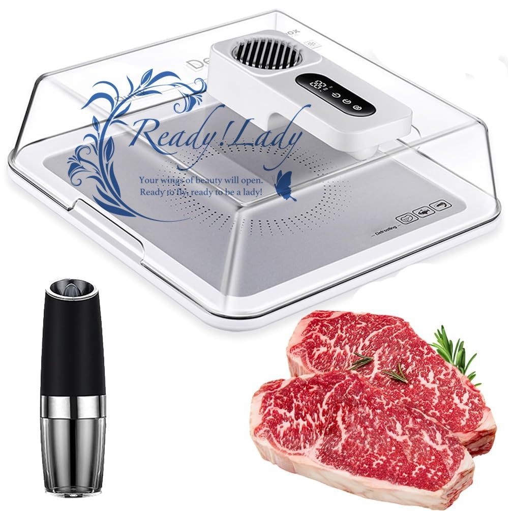 電気解凍ボード 4.2 Lミートデフロストトレイ スマートタイミング付きのデフロストボード 2000 mAhバッテリー デフロストプレートボックス フローズンフードの高速解凍機 ホームキッチンブラック用 white