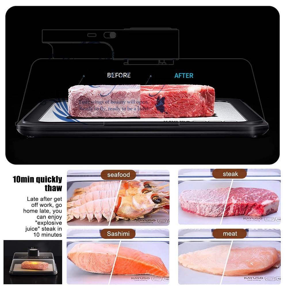 デフロストプレートボックス フローズンフードの高速解凍機