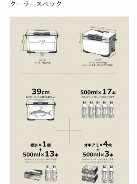  フィクセル ベイシス 22 LNF−322 V 白 クーラーボックス クーラーボックス 保冷剤