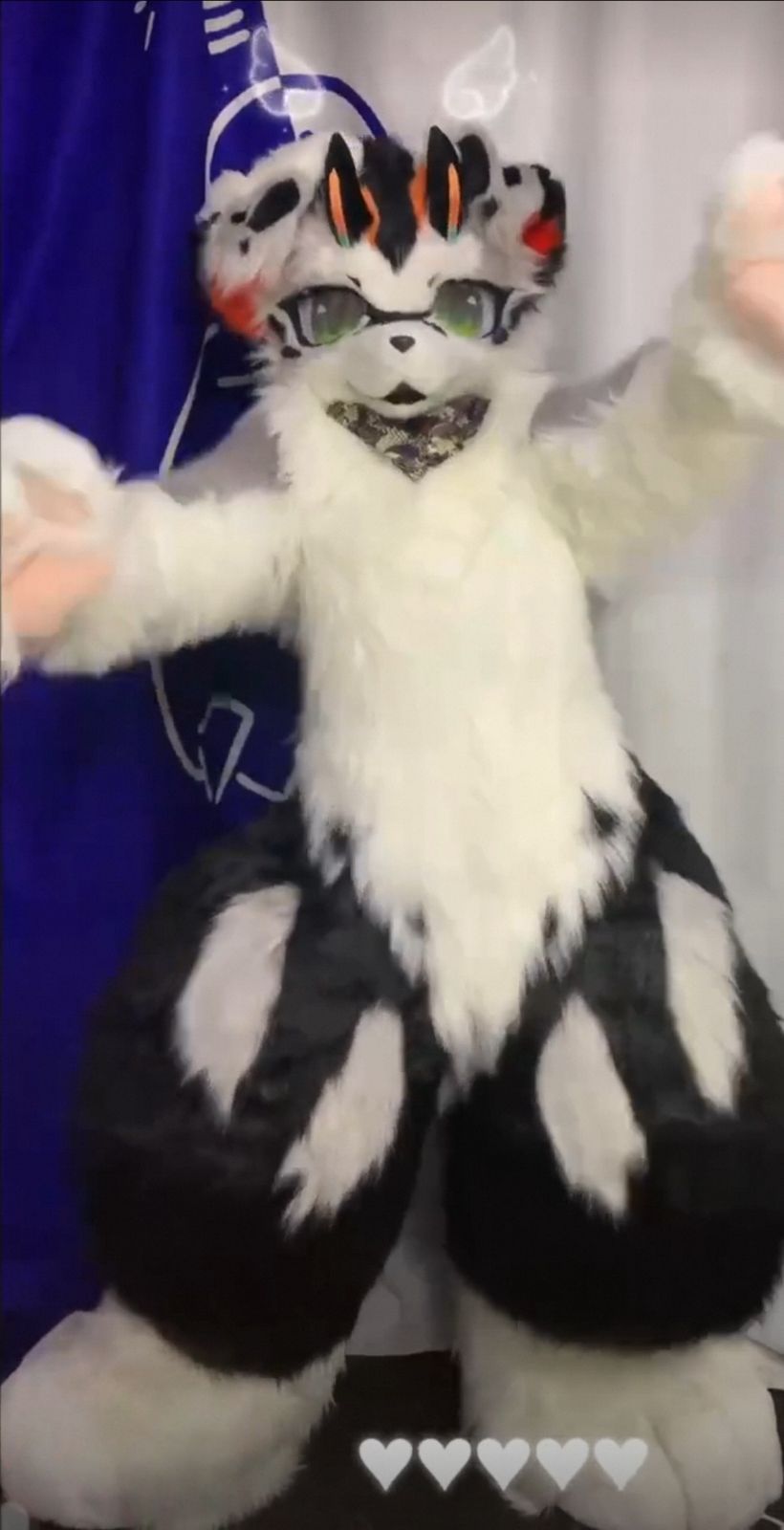 着ぐるみ ケモノ体 フルスーツ セット NO.72 黒 犬 垂れ耳 全頭ヘッド ファースーツ ぬいぐるみ コスプレ コスチューム