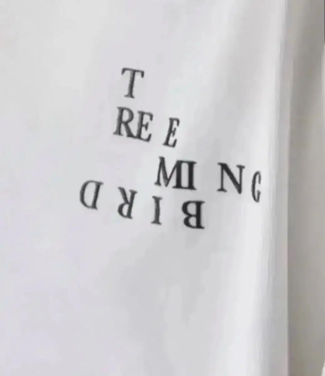 TREEMINGBIRD falling overfit Long Sleeve T-shirt