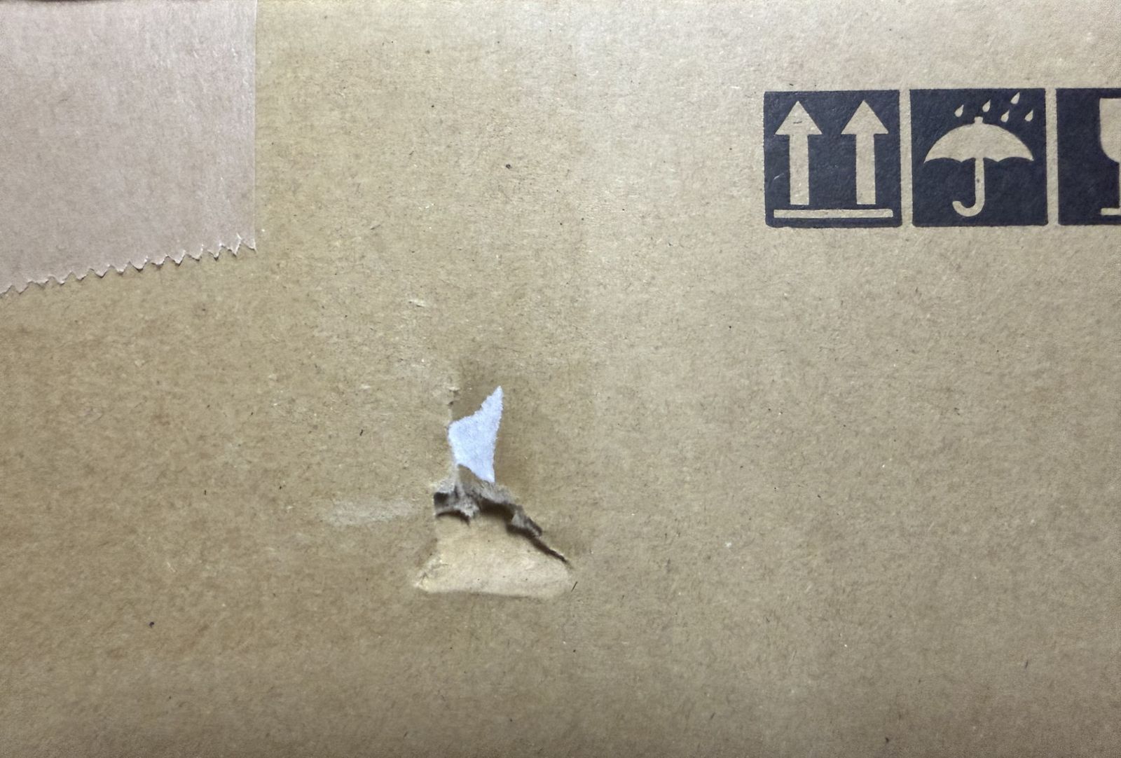 エコセンサー付