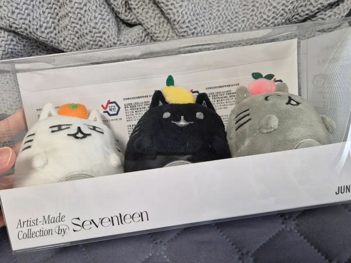 SEVENTEEN セブチ JUN ジュン アーティストメイド OCL SEVENTEEN JUN