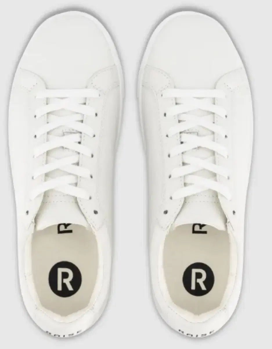 ウェッジウッド　コロンビア　パウダールビー　ディナープレート　22.5cm オーバーサイズ RAISE レイ あんさんぶるスターズ！！(あんスタ) 白