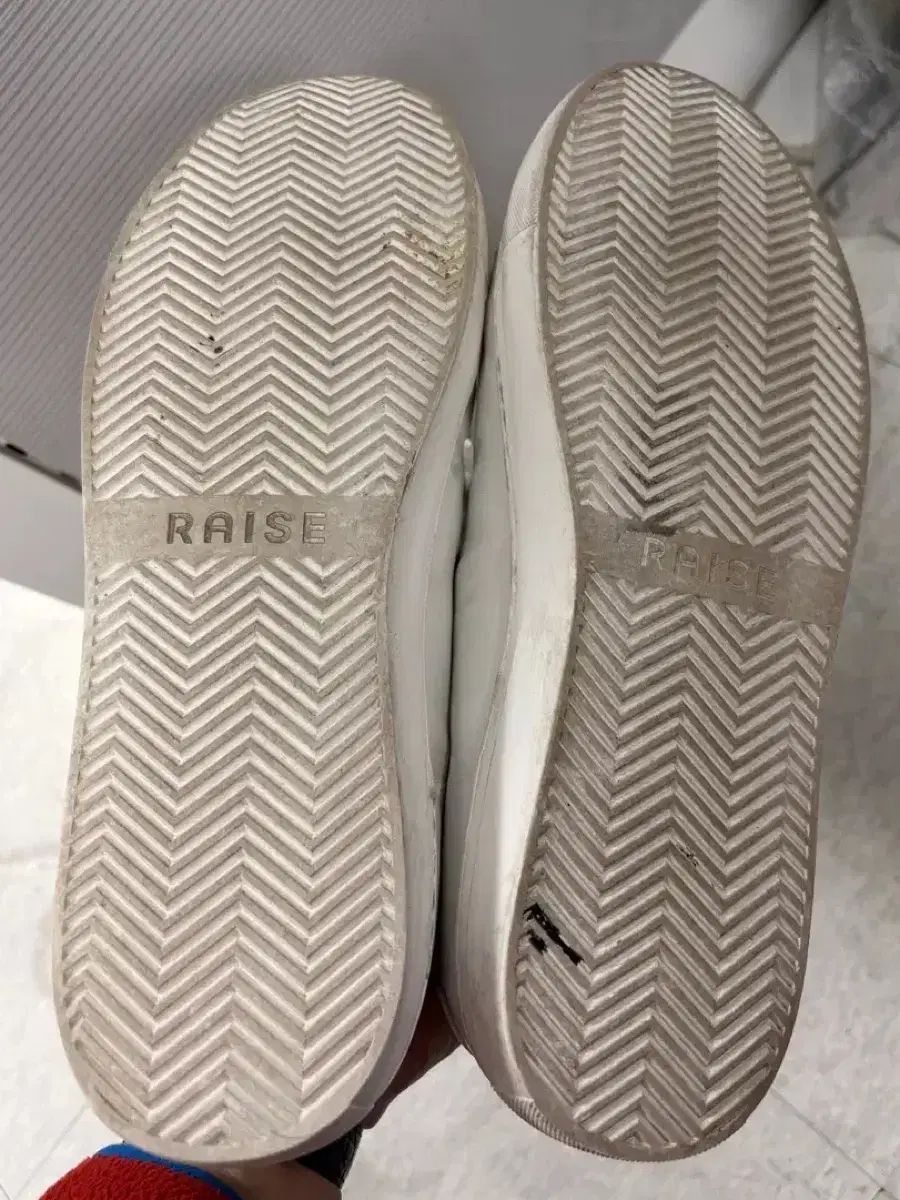 オーバーサイズ RAISE レイ あんさんぶるスターズ！！(あんスタ) 白