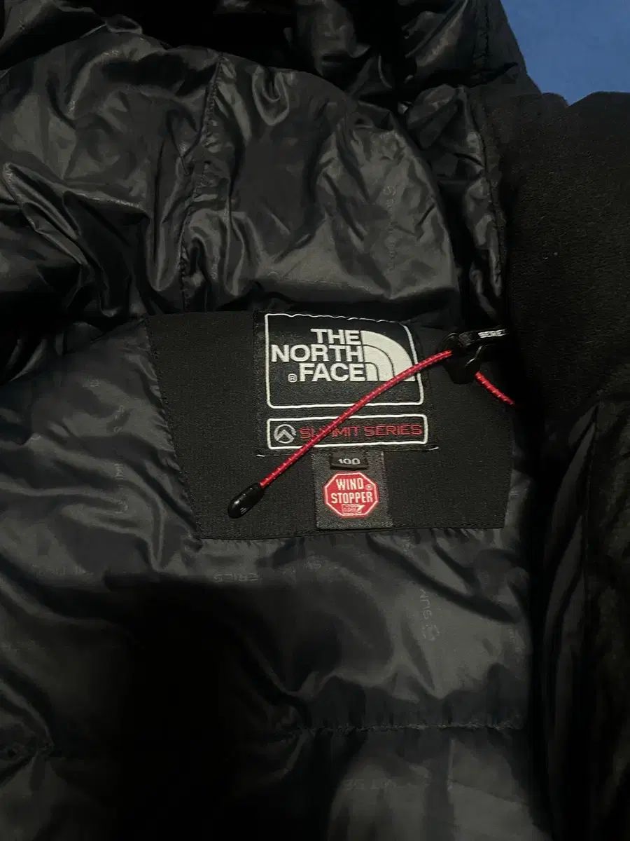 ニューヒマラヤ