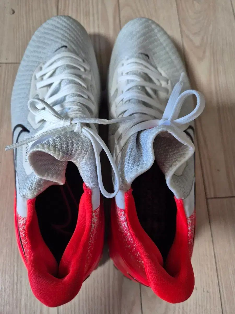 ナイキ エアズーム ゴルフシューズ メンズ 270 mm