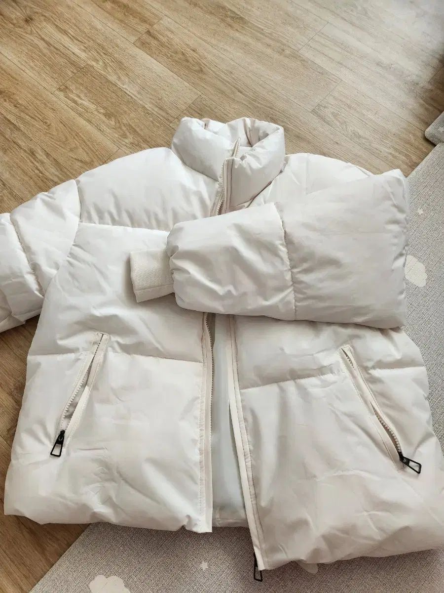 クリミナーレ！ 特典ブロマイド➕SSペーパー ステラワース ポストカード