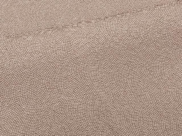 平和屋着物□本草木染作家 圓啓 江戸小紋 鮫小紋柄 正絹 逸品