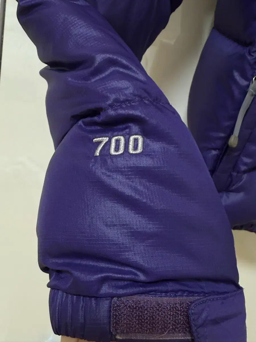 THE NORTH FACE ザノースフェイス PURPLE パープル ダウン 700 【公式 