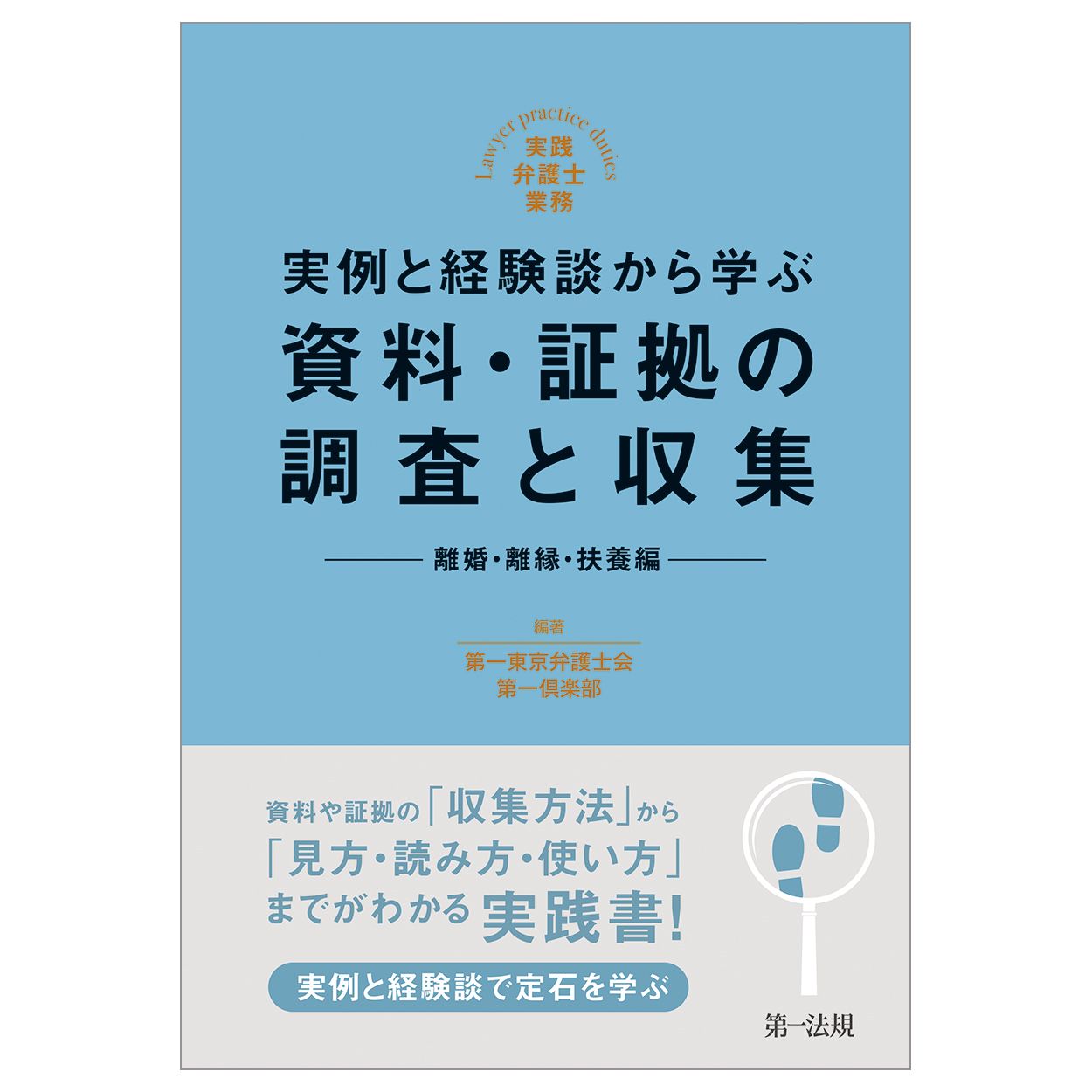 実例と経験談から学ぶ資料・証拠の調査と収集 離婚・離縁・扶養編