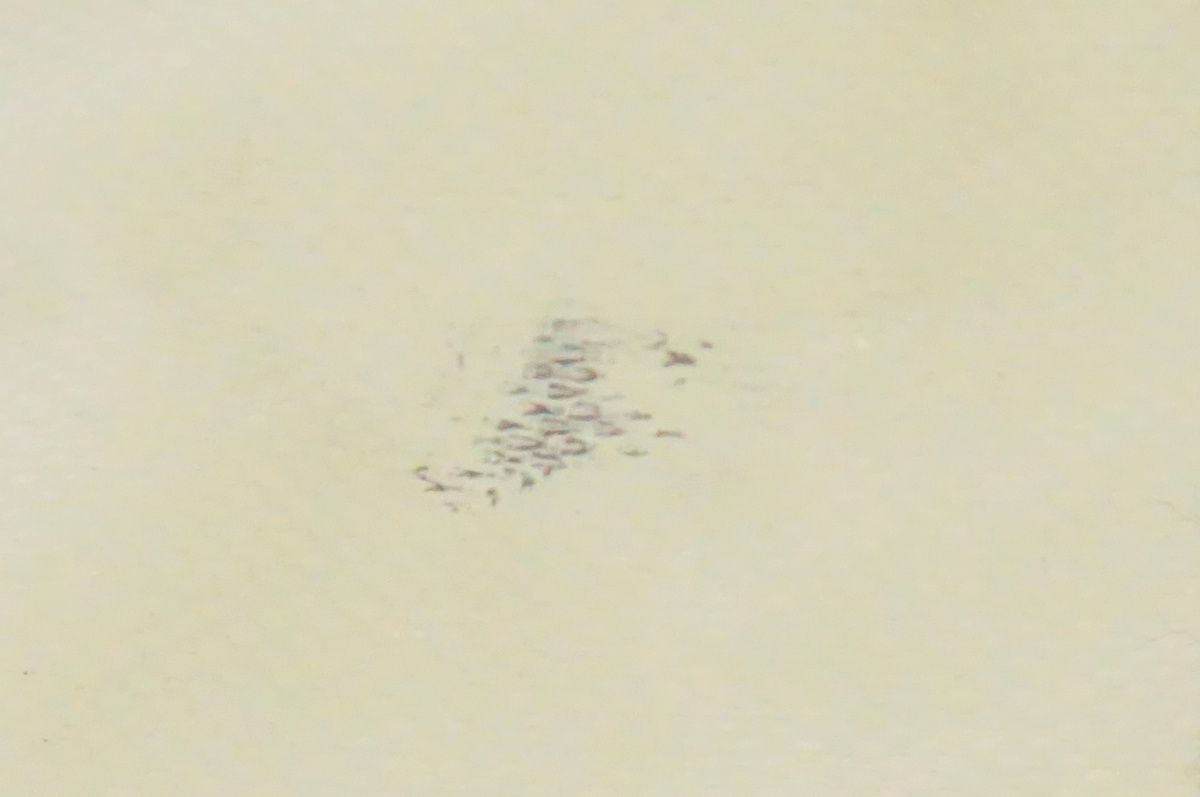 ORTLIEB オルトリーブ