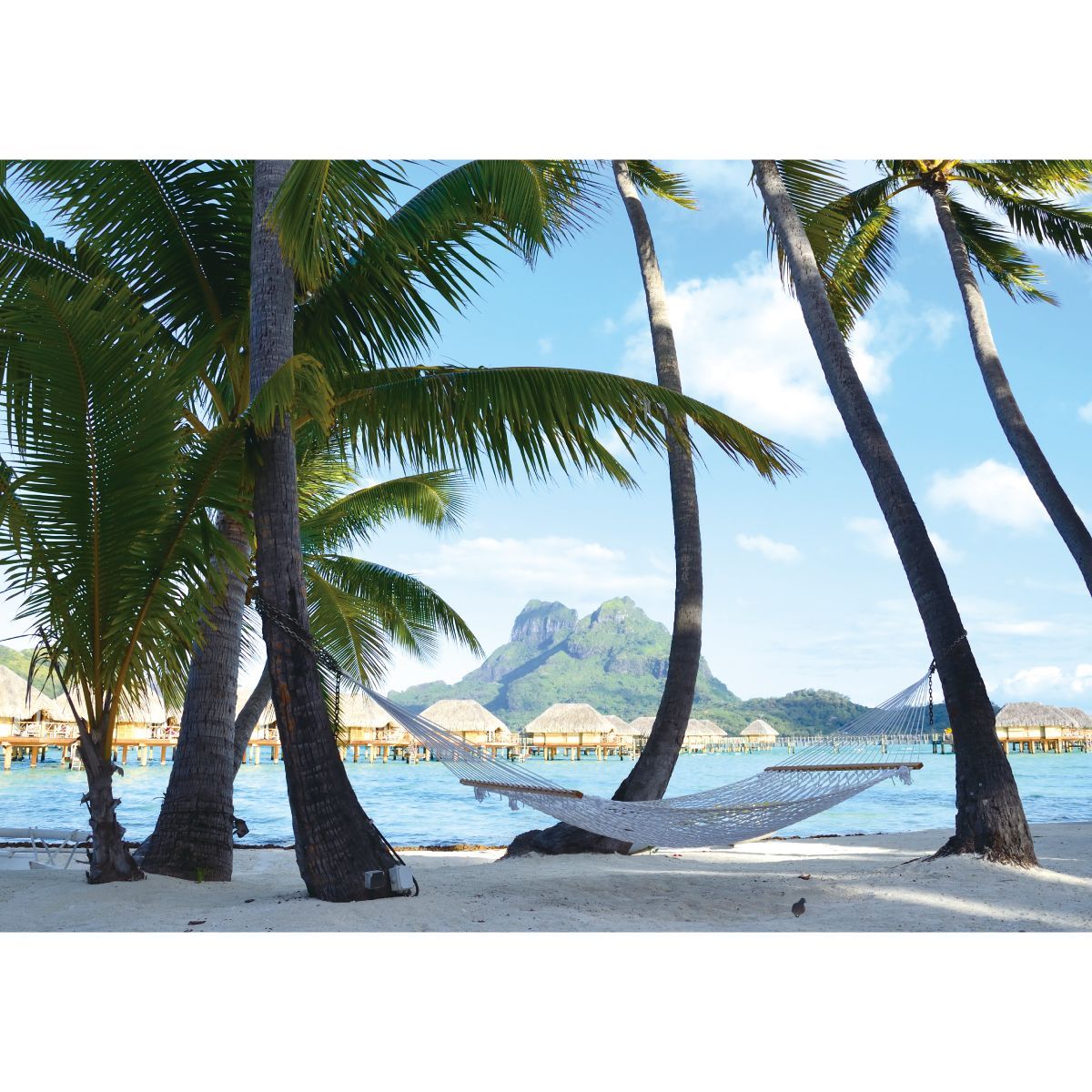 お風呂ポスター