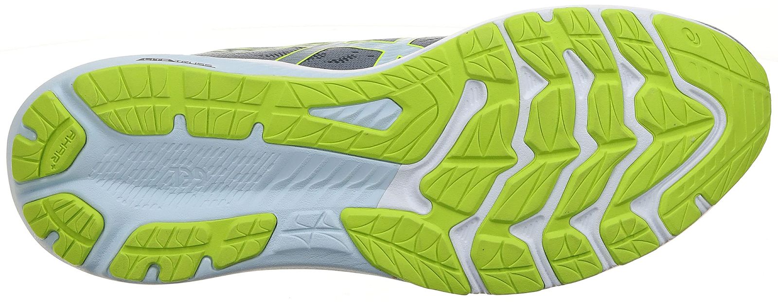 ライムゼスト 28