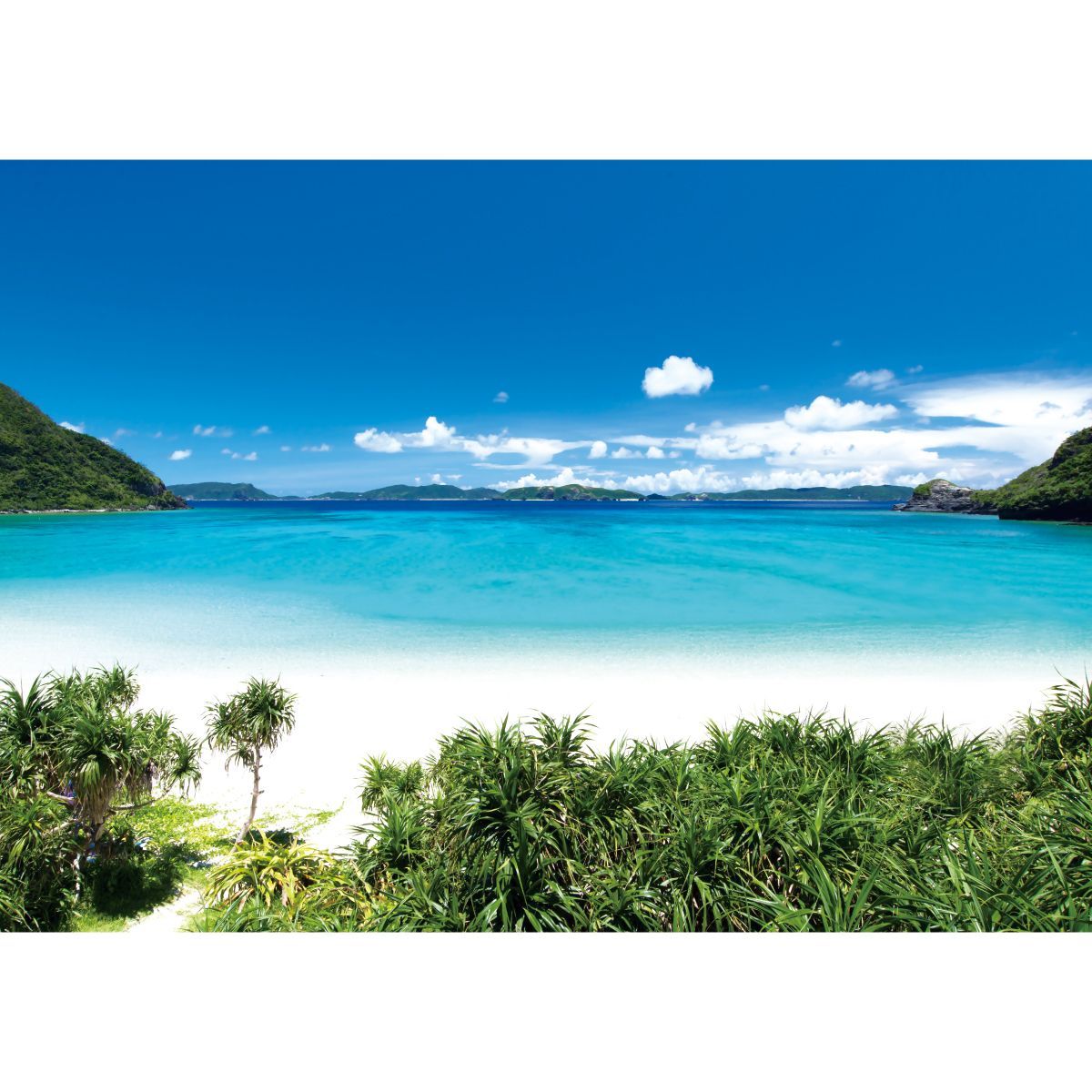 B お風呂ポスター