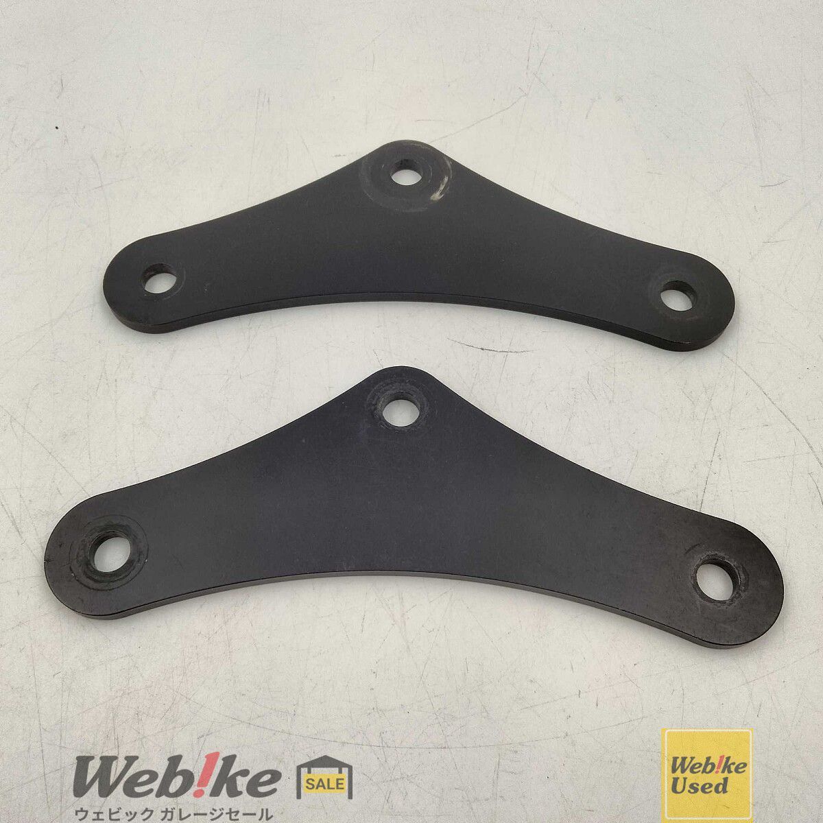 ツヤケシオニノコギリカミキリ 標本！大型！2