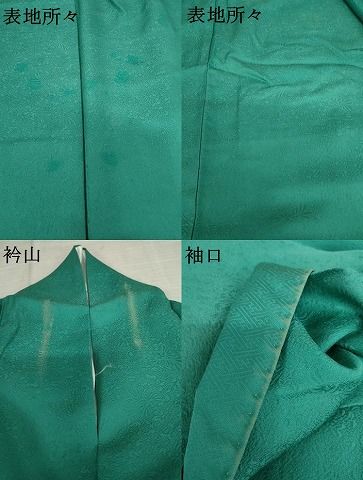 平和屋着物●上質な色無地 鳳凰草花地紋