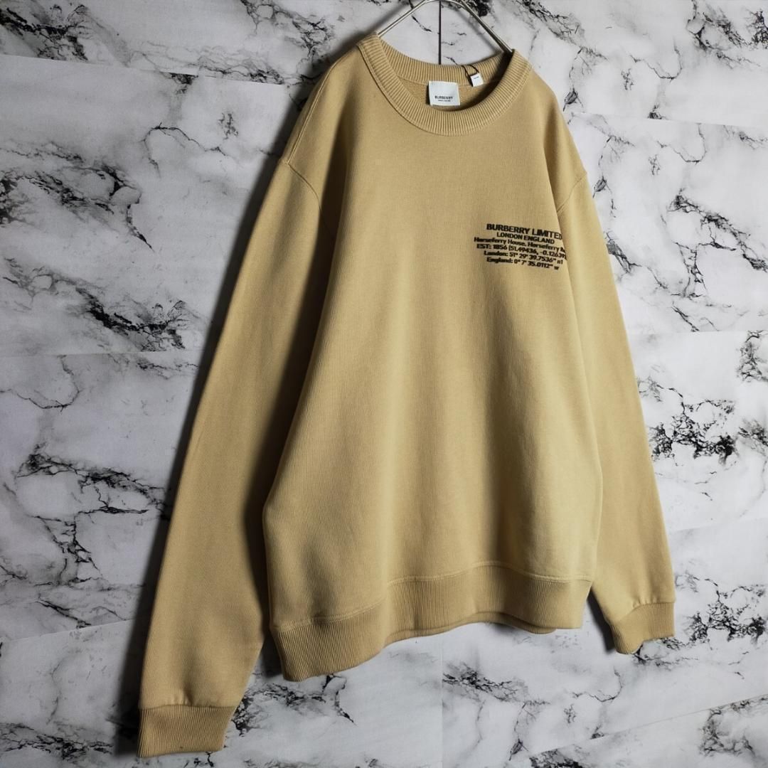 タグ付・未使用級】BURBERRY スウェット M ベージュ 刺繍ロゴ ワン