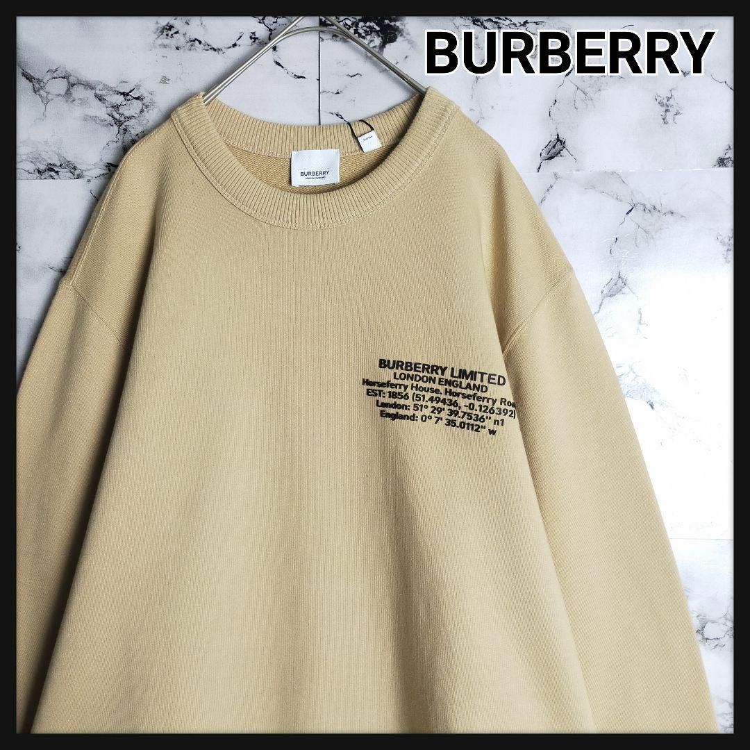 タグ付・未使用級】BURBERRY スウェット M ベージュ 刺繍ロゴ ワン