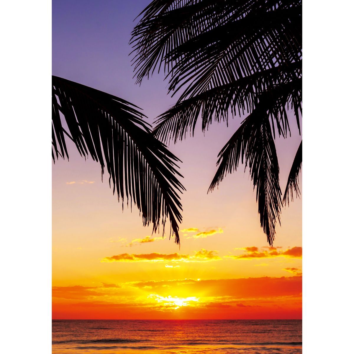 水平線と夕日 縦型