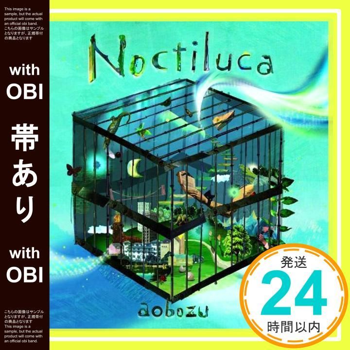 帯あり ノクティルカ CD 藍坊主_07