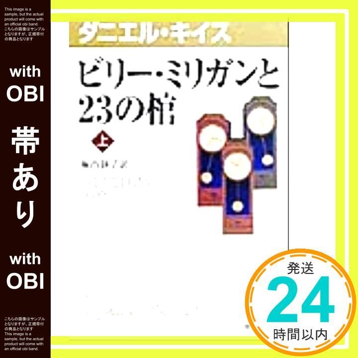 帯あり ビリー ミリガンと23の棺 上 ダニエル キイス文庫 6 キイス Keyes Daniel 静子 堀内_07
