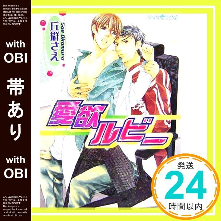 帯あり 愛欲ルビー プラチナ文庫 丘群 さえ 笹生 コーイチ_08