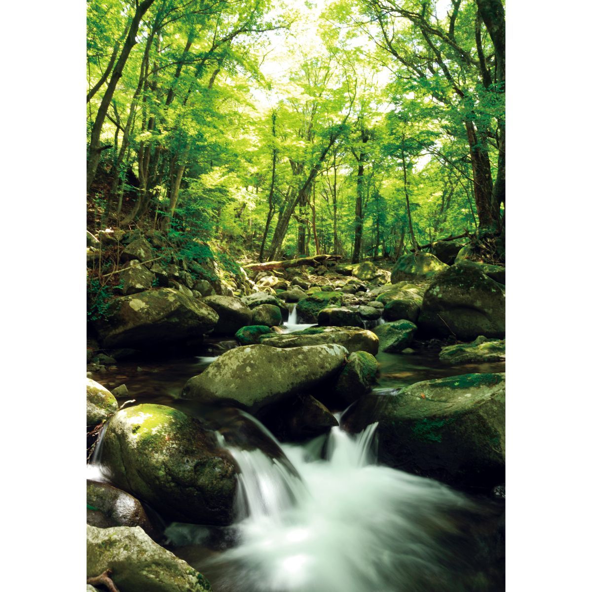 お風呂ポスター