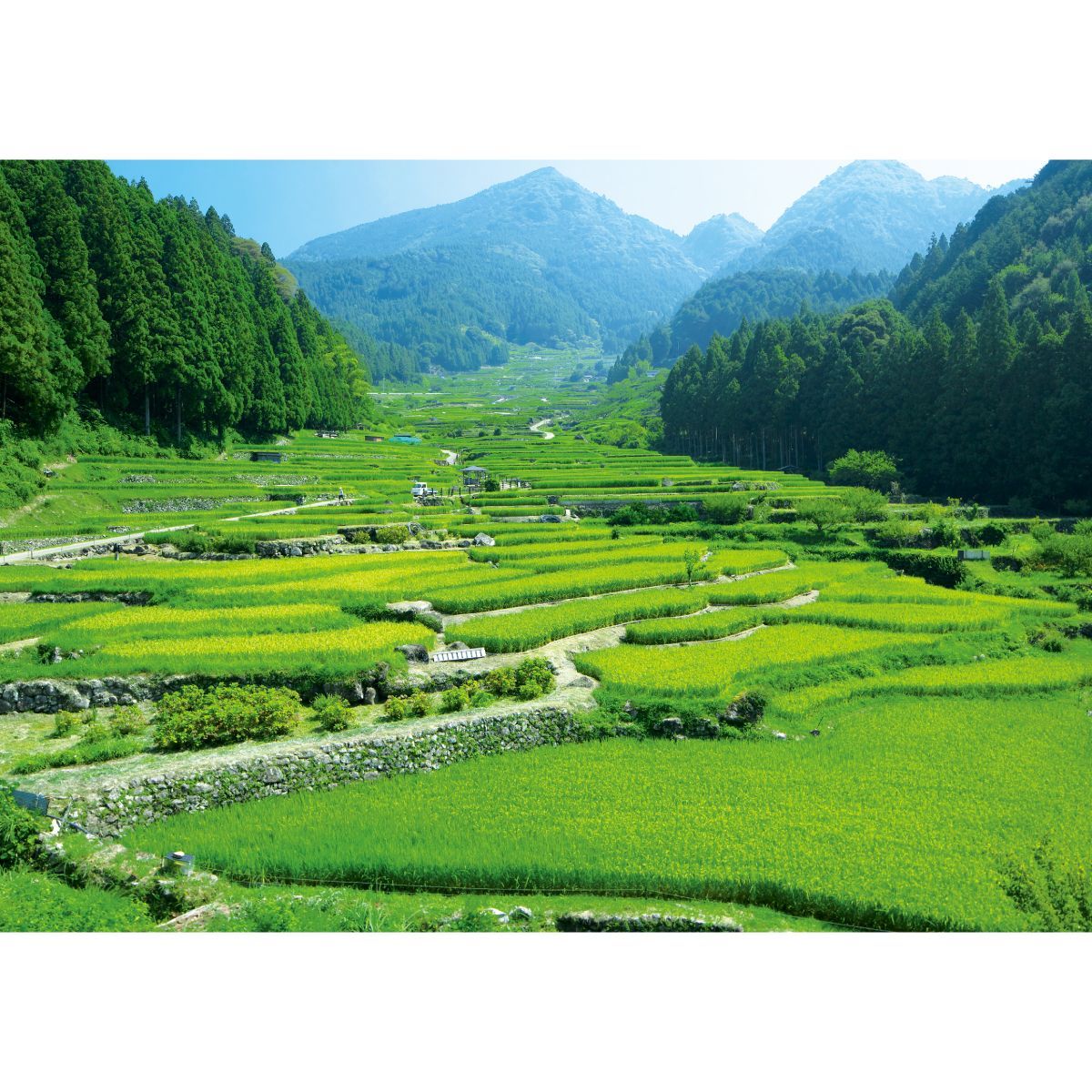 B お風呂ポスター