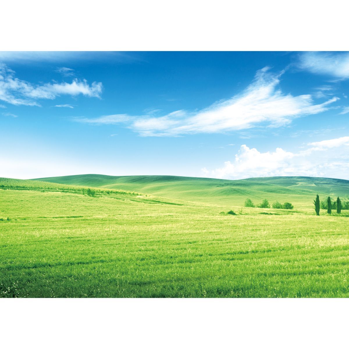 お風呂ポスター 防水ポスター