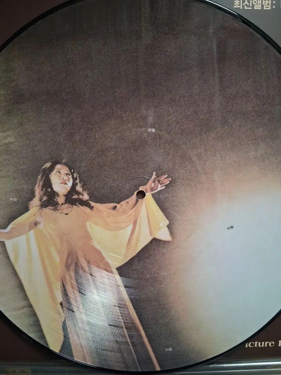 キム ジョンミ LP 最新アルバム 風 思い出 Picture Disc