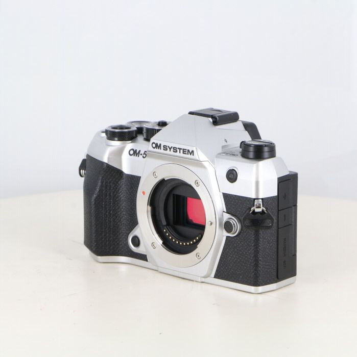 オーエムシステム OM SYSTEM 5 MARKII ボディ ブラック