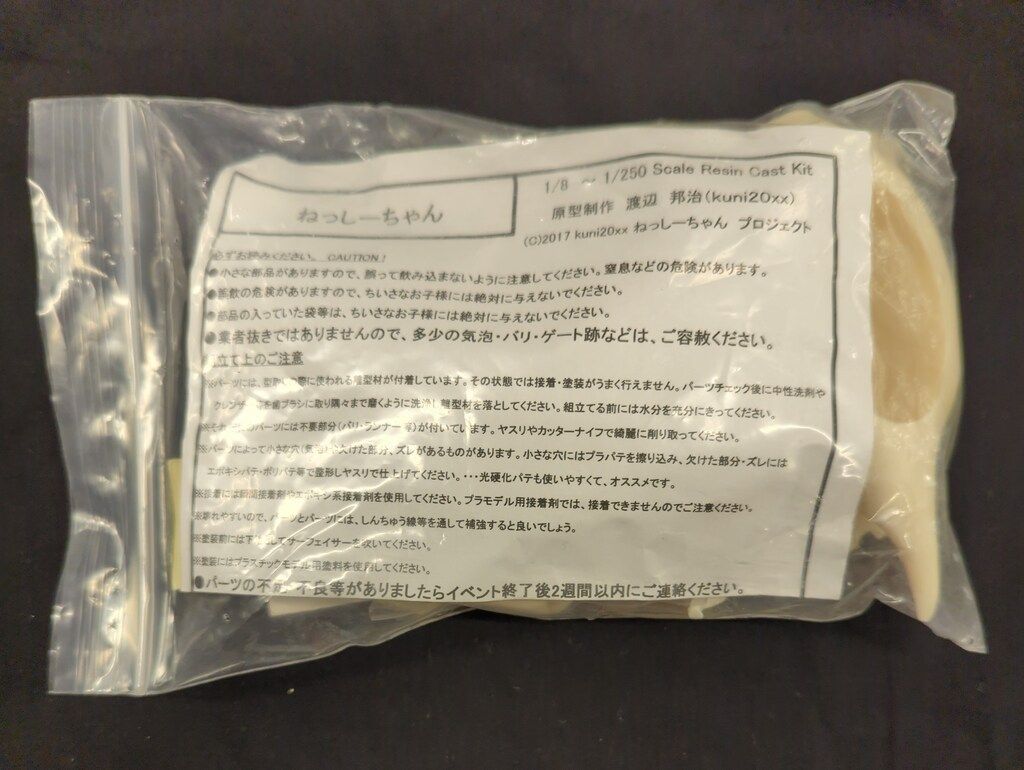 Kuni 20 xx レジンキャストキット 原型 渡辺邦治 ねっしーちゃん